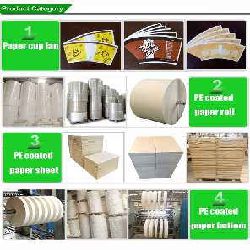 Cup Stock Paper in Rolls / Sheets for Disposable Cups